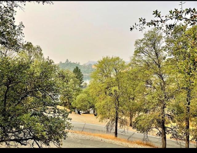 266 Thomson Lane Copperopolis, CA 95228 - Photo 1 of 2 a view of a yard