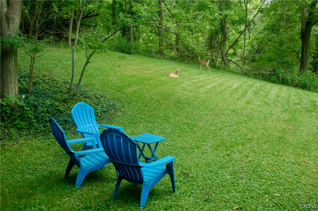 307 Halton Road De Witt, NY 13224 - Photo 16 of 16