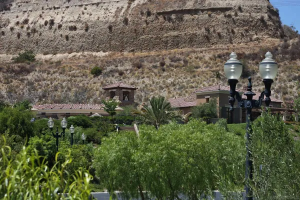 a view of a yard