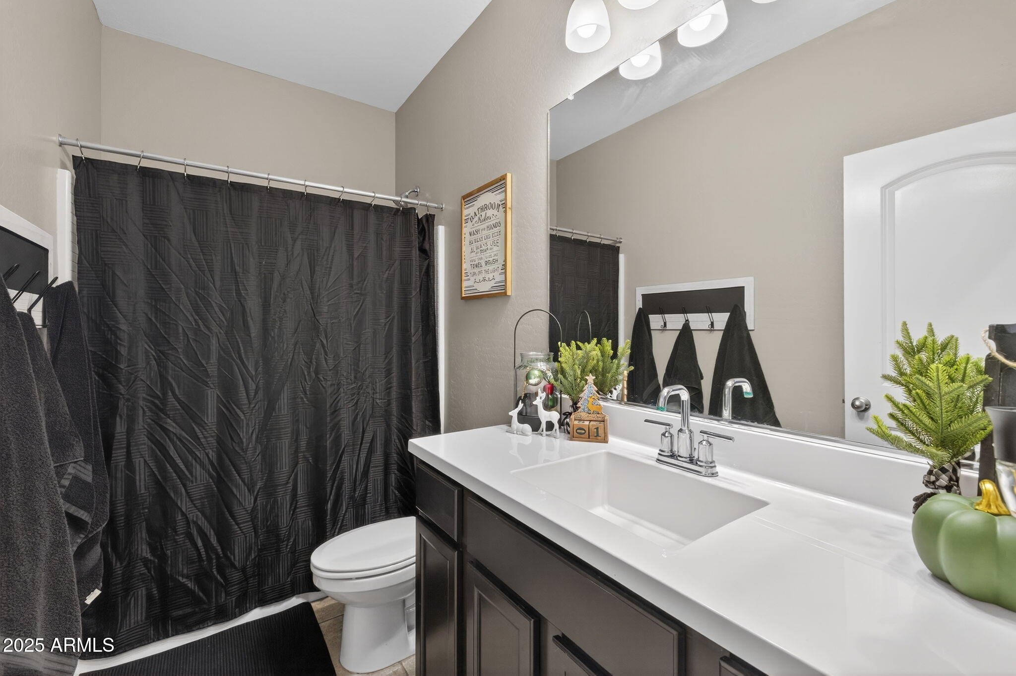 8269 West Rushmore Way Florence, AZ 85132 - Photo 17 of 27 a bathroom with a sink a toilet a mirror and shower curtain