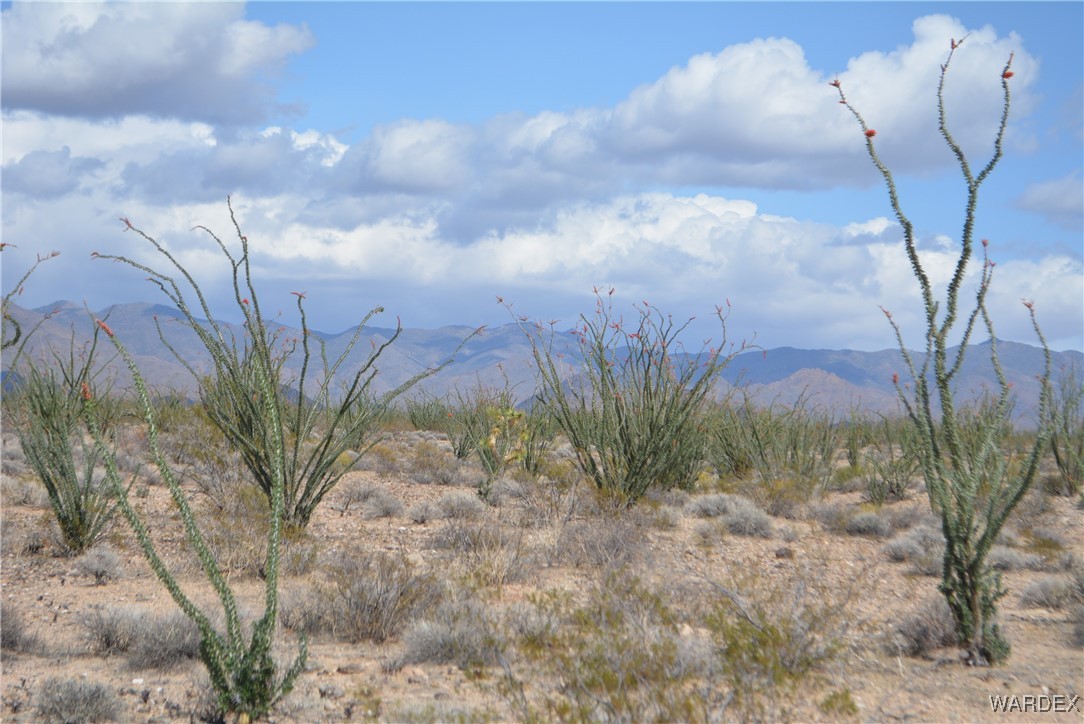 245-24-107 South Rainbow Road Yucca, AZ 86438 - Photo 65 of 91