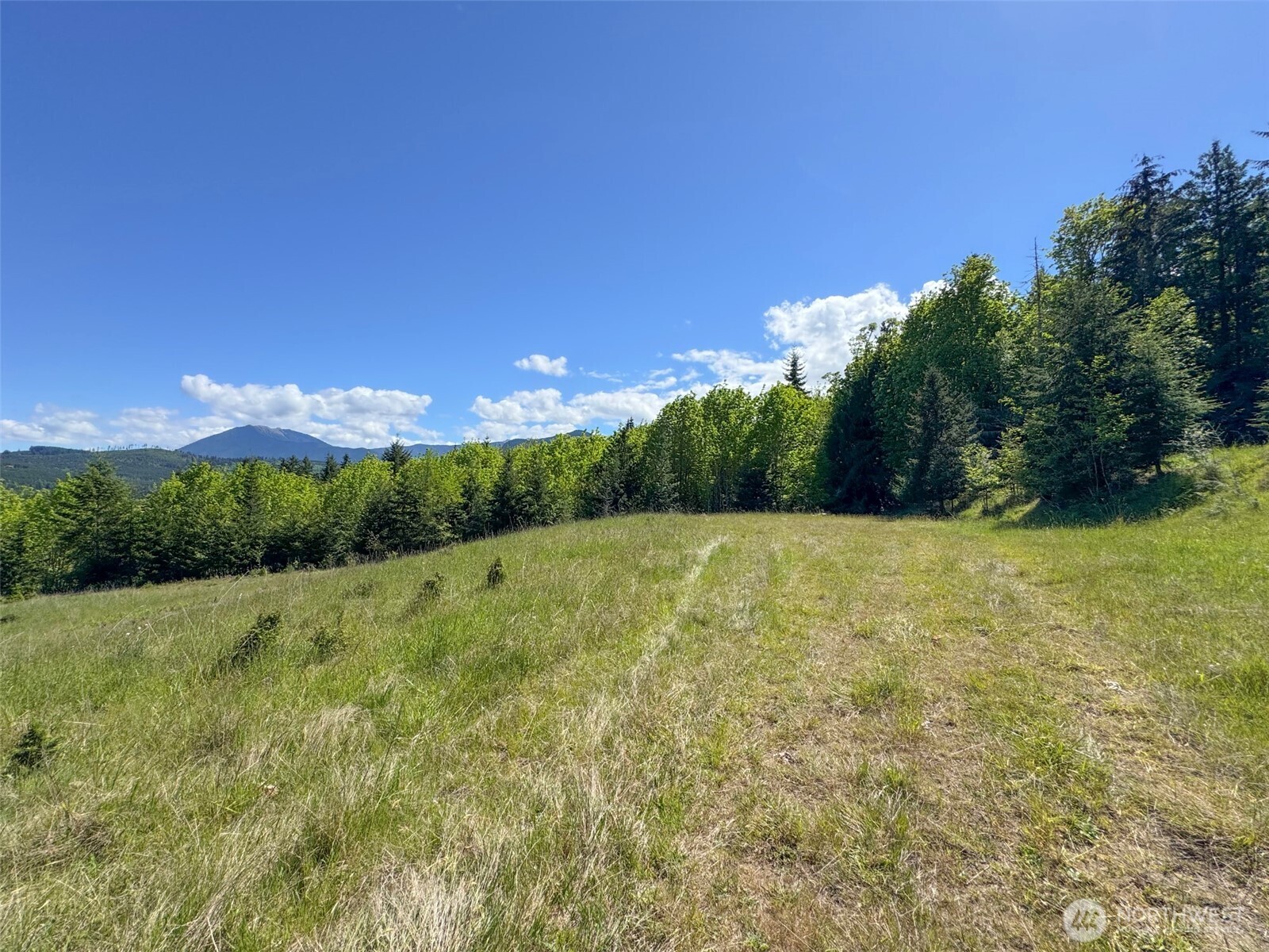 9999 Kruse Road Port Angeles, WA 98362 - Photo 21 of 39