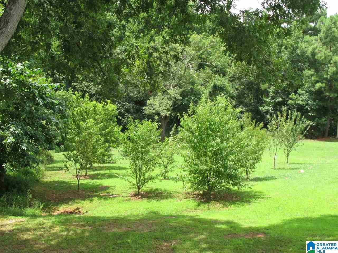 8101 County Road 25 Heflin, AL 36264 - Photo 29 of 35