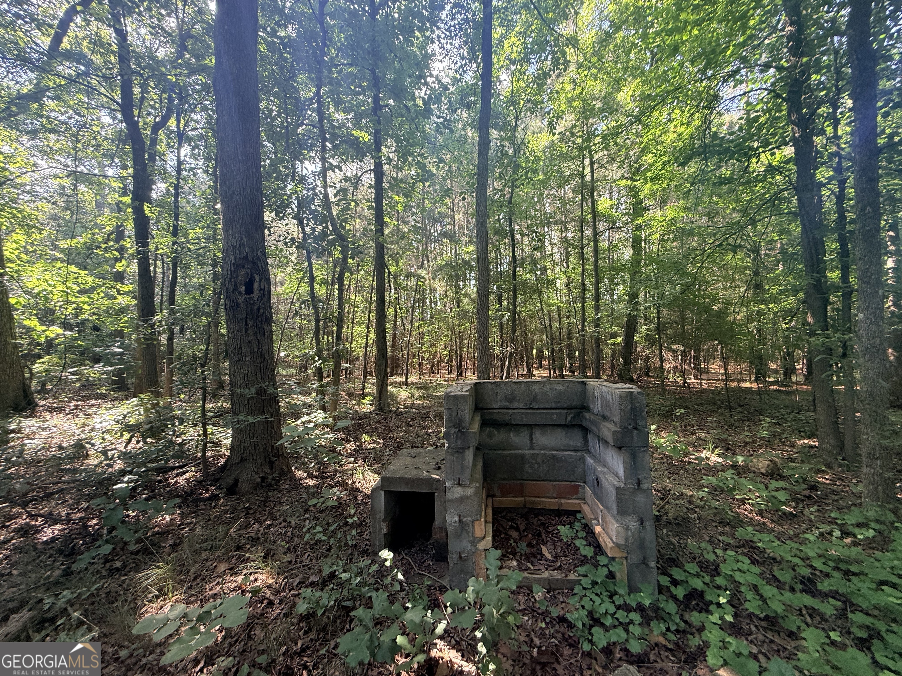 2 Bethesda Church Road Lexington, GA 30648 - Photo 58 of 66