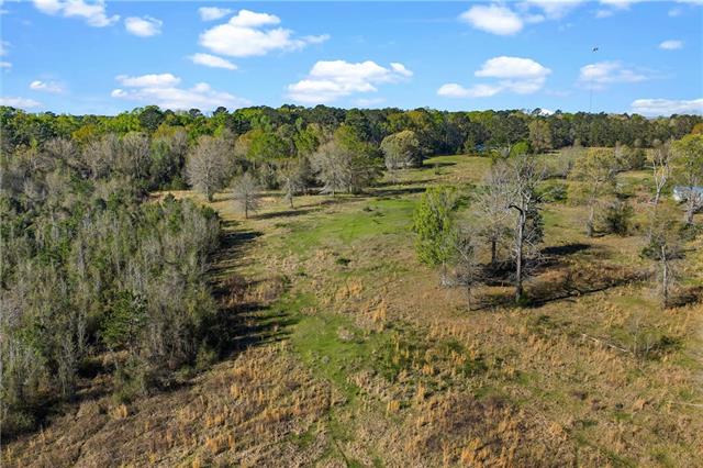 1641 Highway 71 Montgomery, LA 71454 - Photo 25 of 60