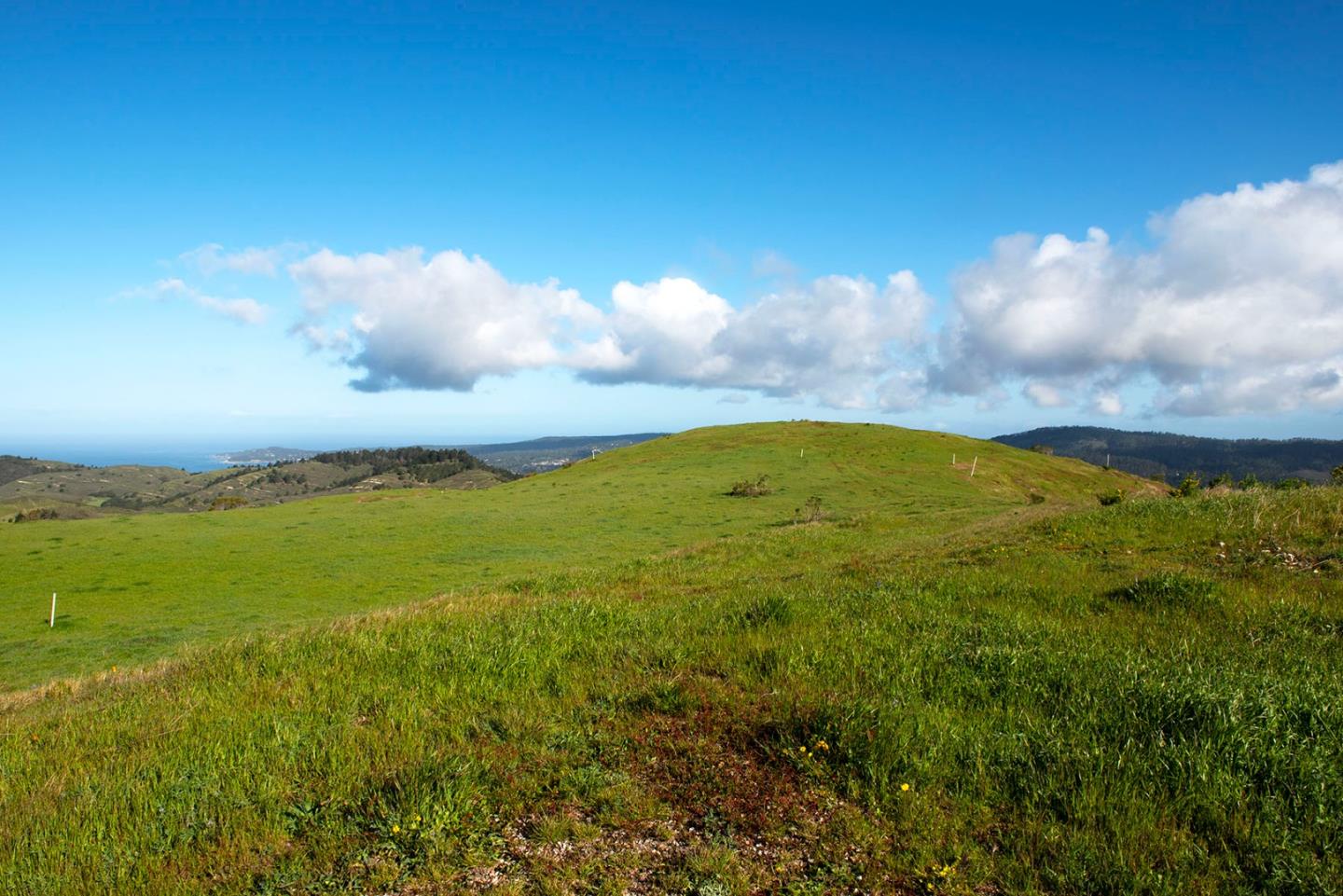 8-10 Rancho San Carlos Road Carmel, CA 93923 - Photo 11 of 13 Gallery Image 11