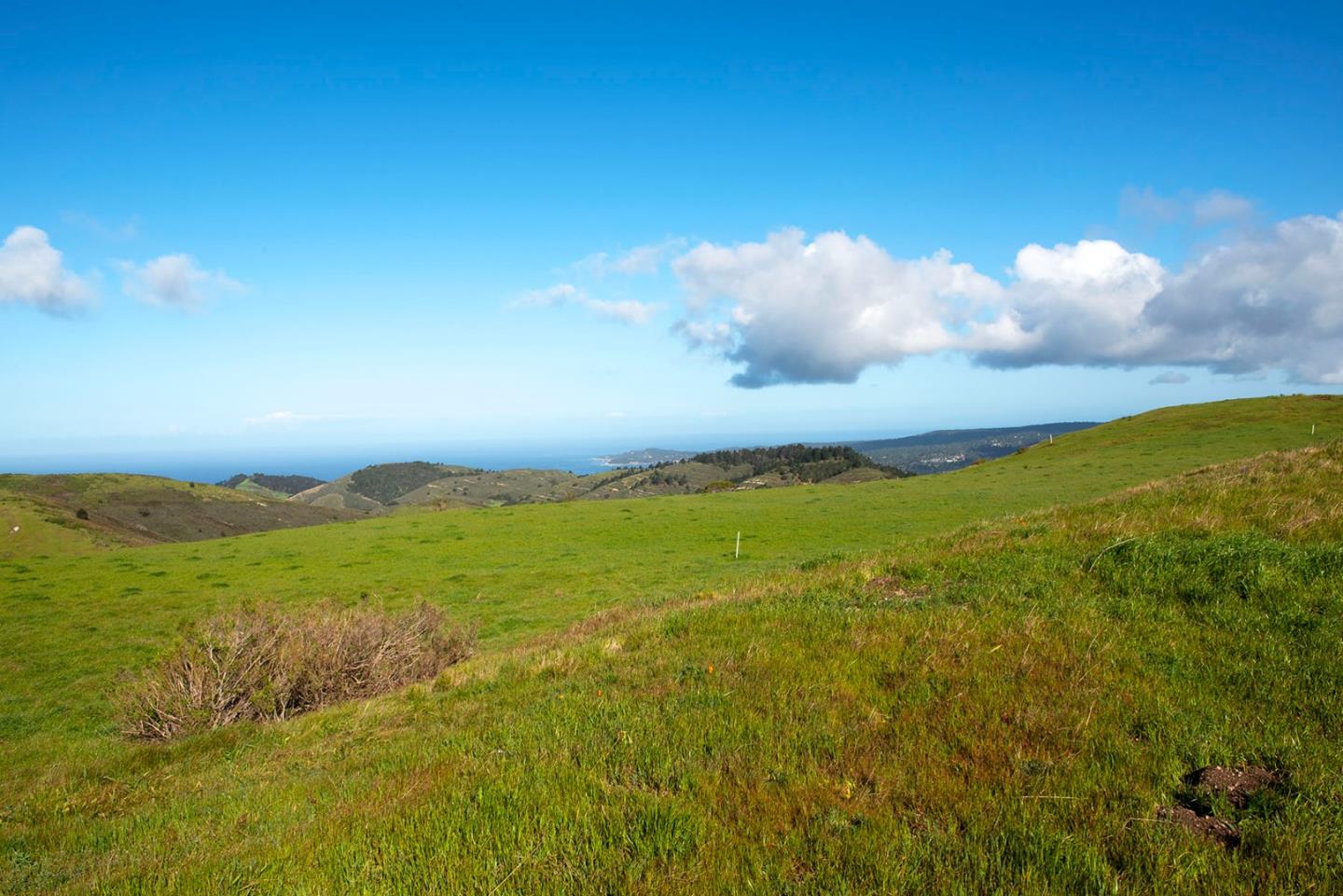 8-10 Rancho San Carlos Road Carmel, CA 93923 - Photo 12 of 13 Gallery Image 12