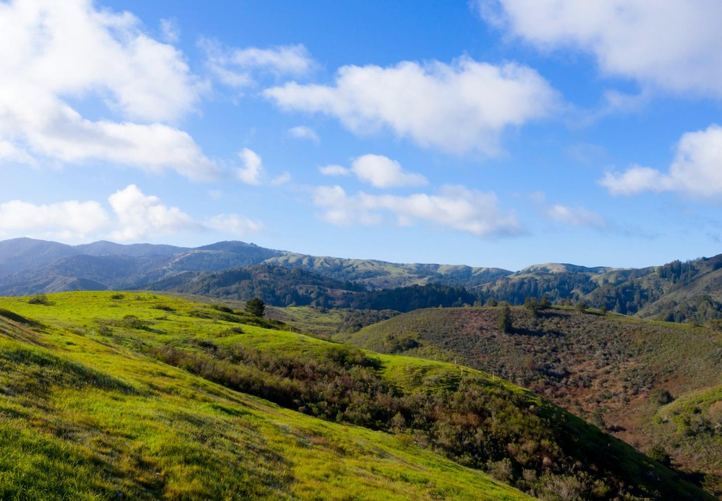 8-10 Rancho San Carlos Road Carmel, CA 93923 - Photo 6 of 13 Gallery Image 6