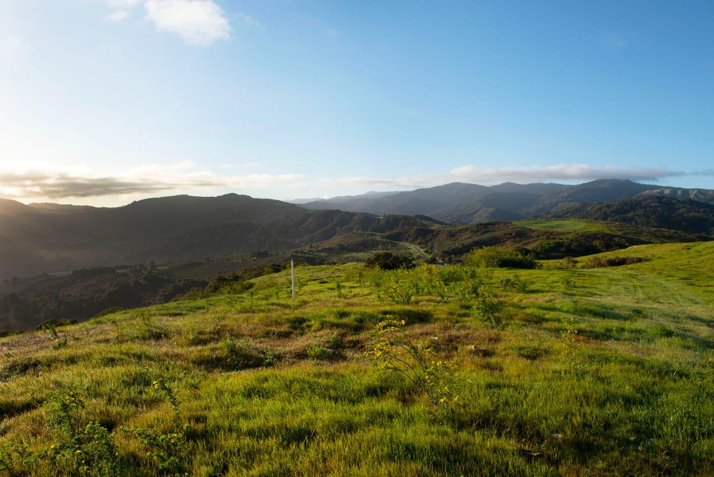 8-10 Rancho San Carlos Road Carmel, CA 93923 - Photo 7 of 13 Gallery Image 7