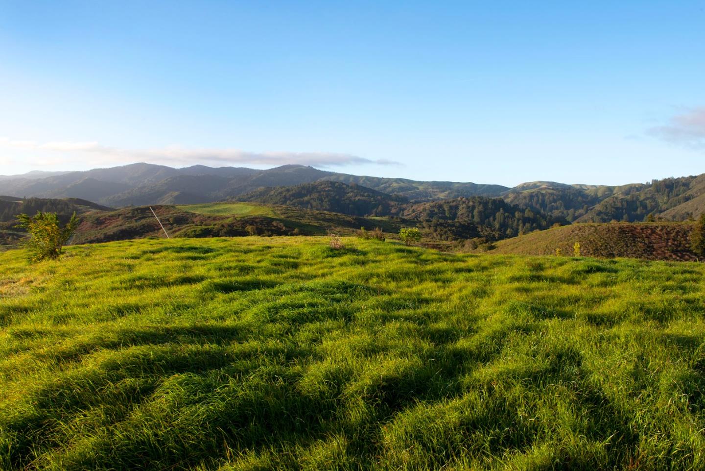 8-10 Rancho San Carlos Road Carmel, CA 93923 - Photo 8 of 13 Gallery Image 8