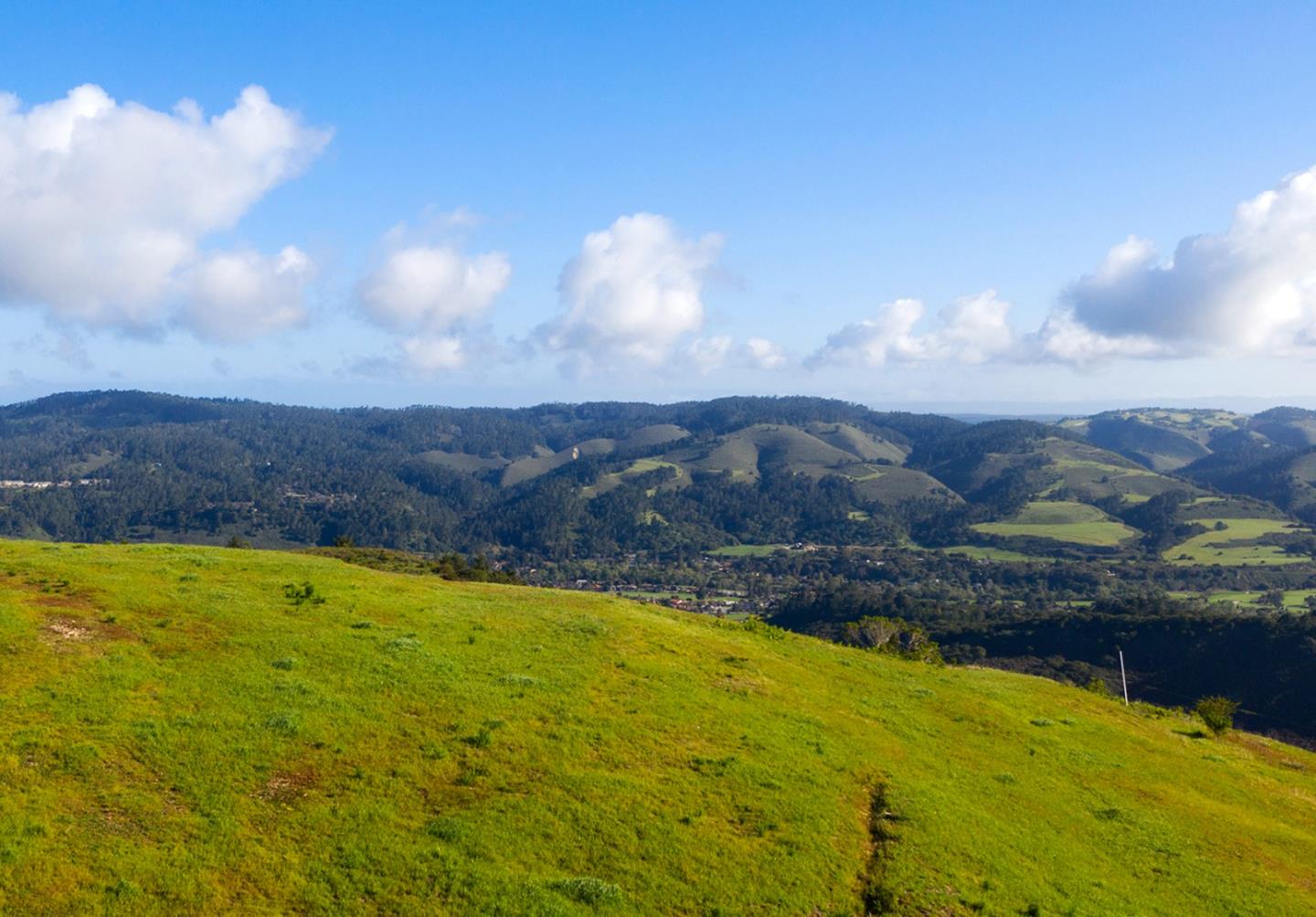 8-10 Rancho San Carlos Road Carmel, CA 93923 - Photo 9 of 13 Gallery Image 9