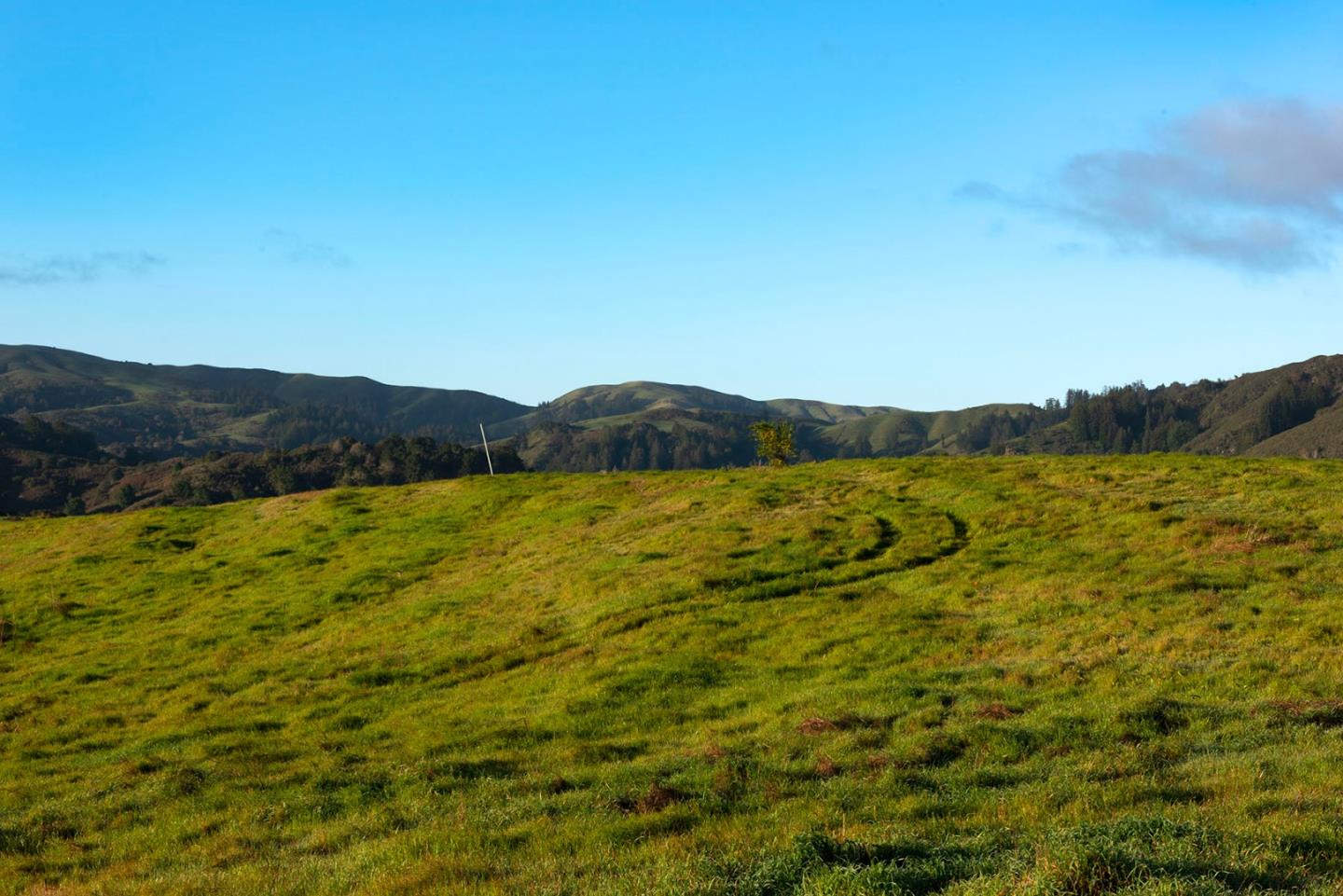 8-10 Rancho San Carlos Road Carmel, CA 93923 - Photo 10 of 13 Gallery Image 10