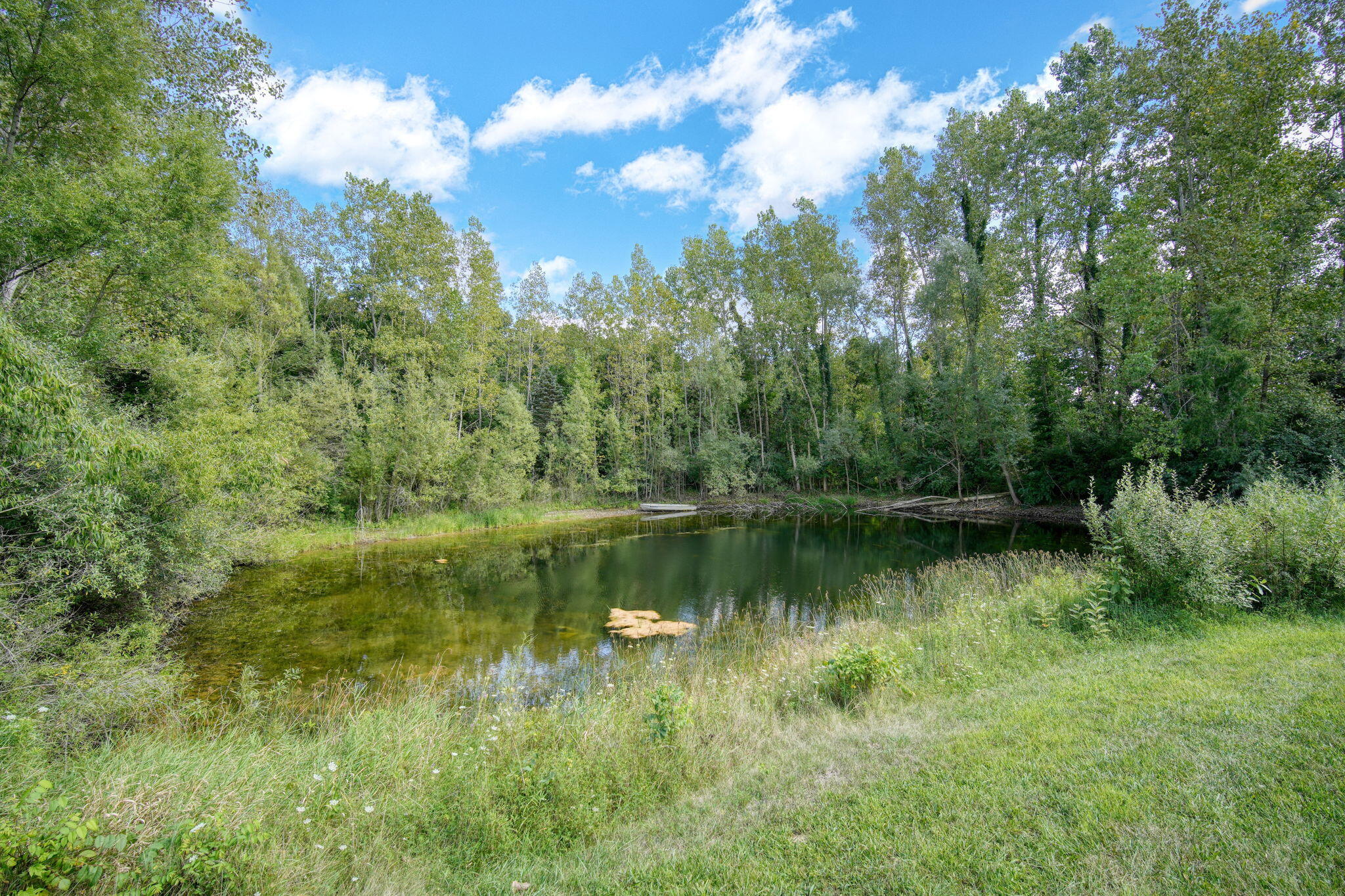 17251 English Road Manchester, MI 48158 - Photo 31 of 48 32-web-or-mls-DSC09138_HDR