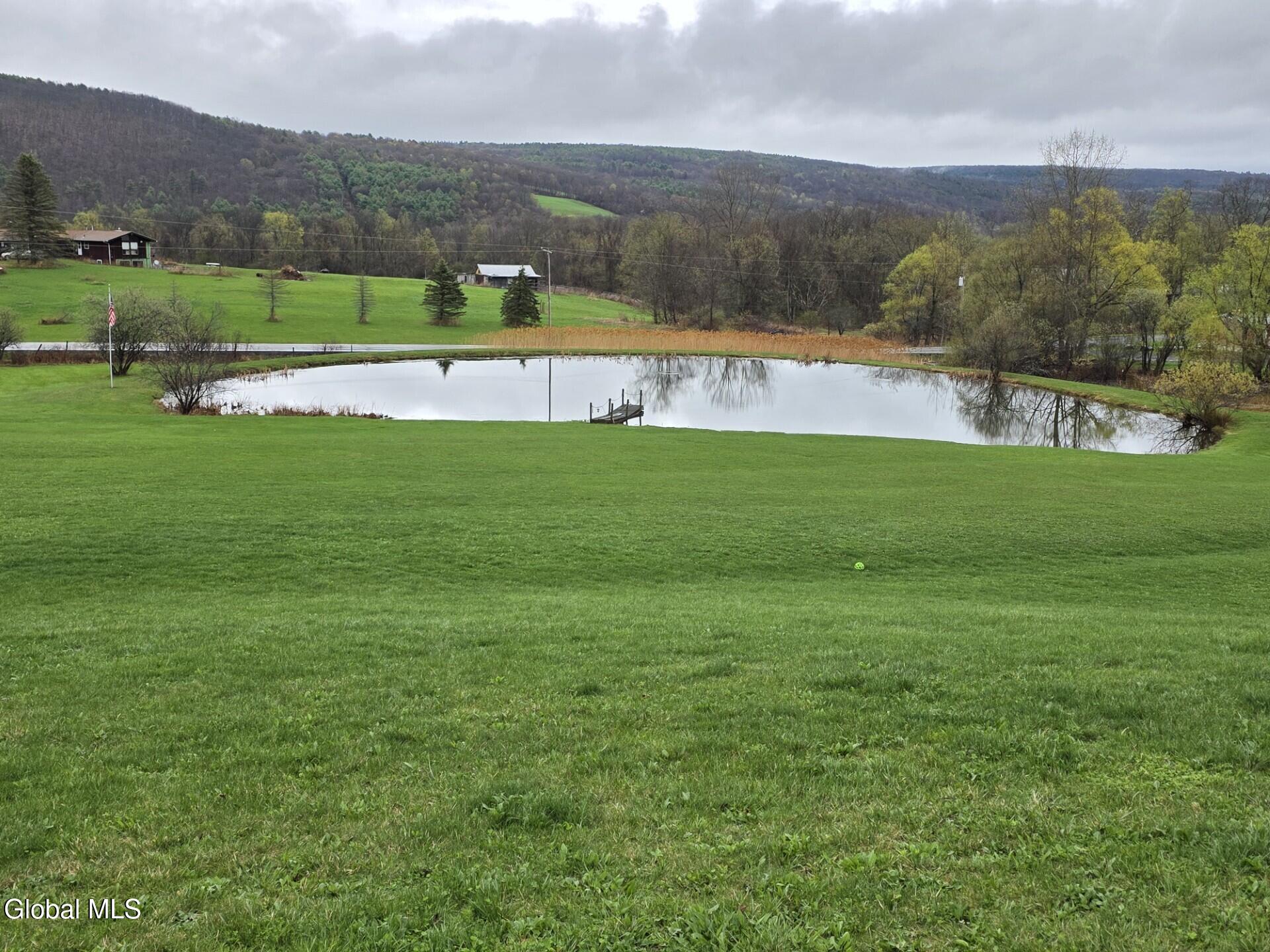 1067 Ravine Road Berne, NY 12023 - Photo 6 of 30 Pond_2