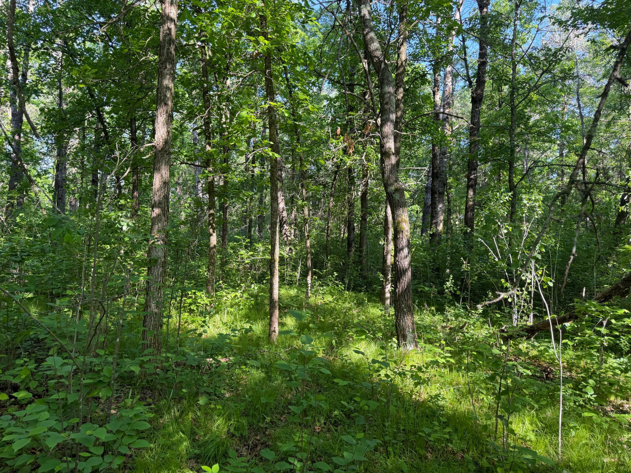 Tbd 270th Street Sebeka, MN 56477 - Photo 24 of 65
