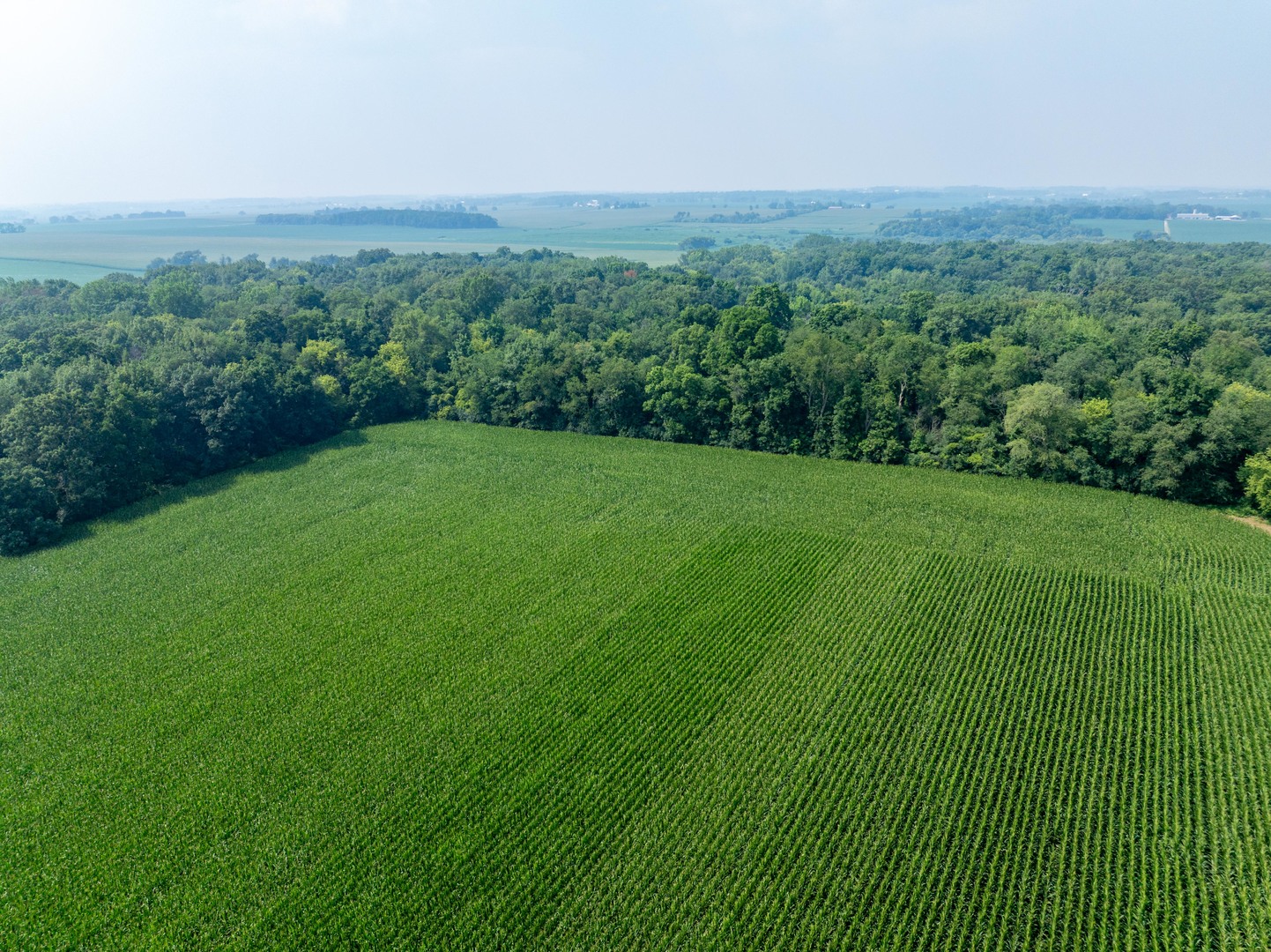 0 Hunter Road Harvard, IL 60033 - Photo 12 of 38 a view of a lush green space