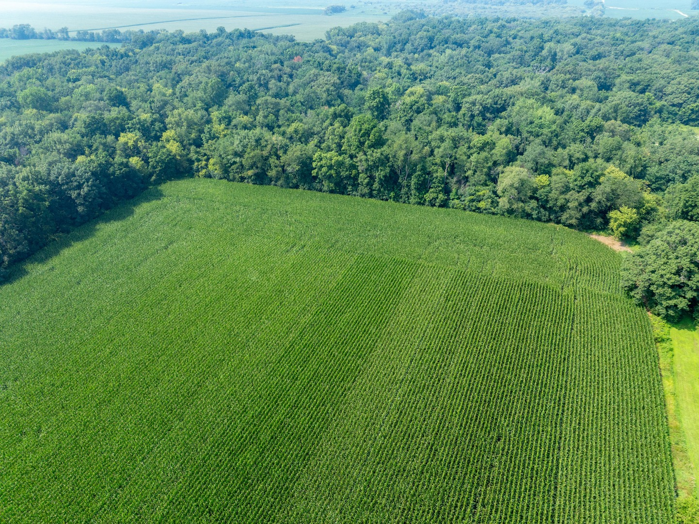 0 Hunter Road Harvard, IL 60033 - Photo 13 of 38 a view of a lush green space