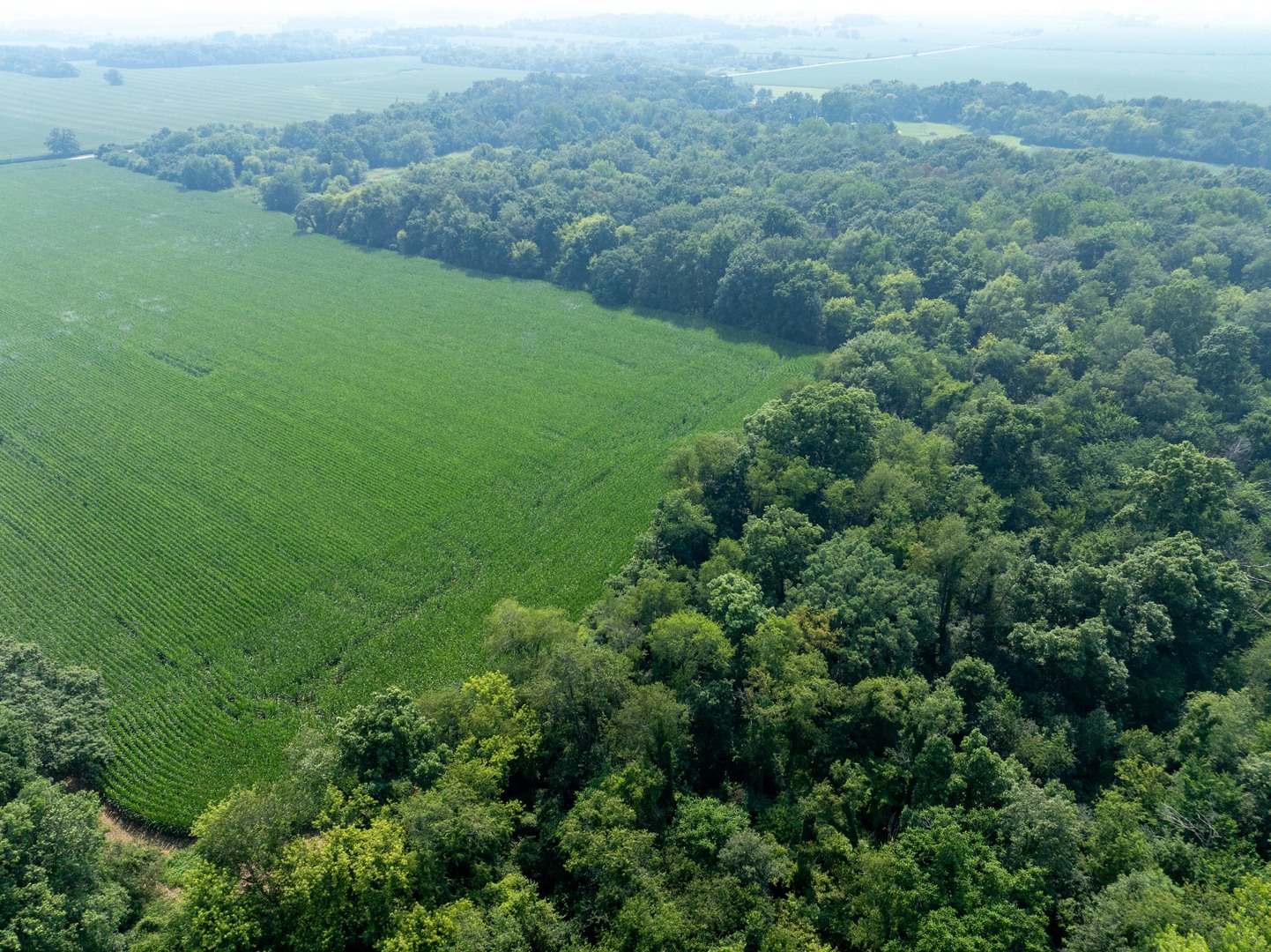 0 Hunter Road Harvard, IL 60033 - Photo 14 of 38 an aerial view of green landscape with trees houses and mountain view