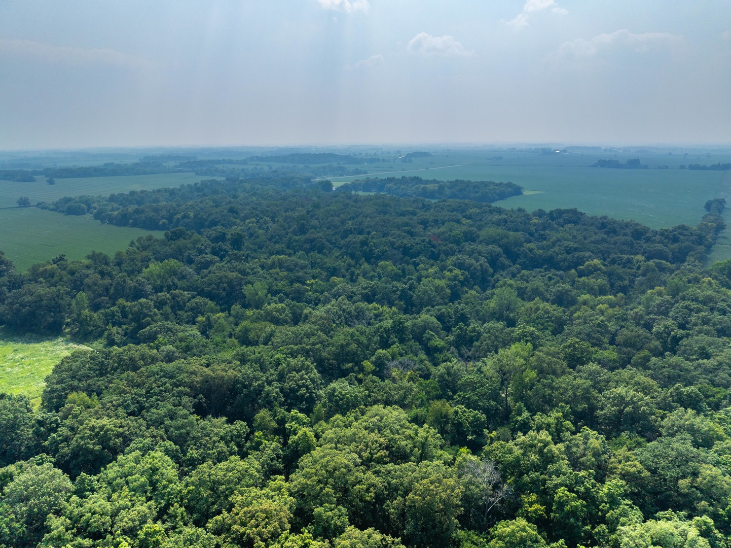 0 Hunter Road Harvard, IL 60033 - Photo 15 of 38 an aerial view of residential houses with outdoor space and trees