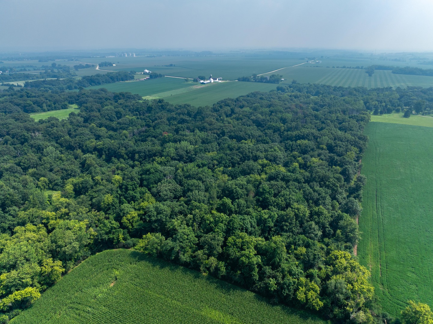0 Hunter Road Harvard, IL 60033 - Photo 16 of 38 a view of a green field with lots of bushes