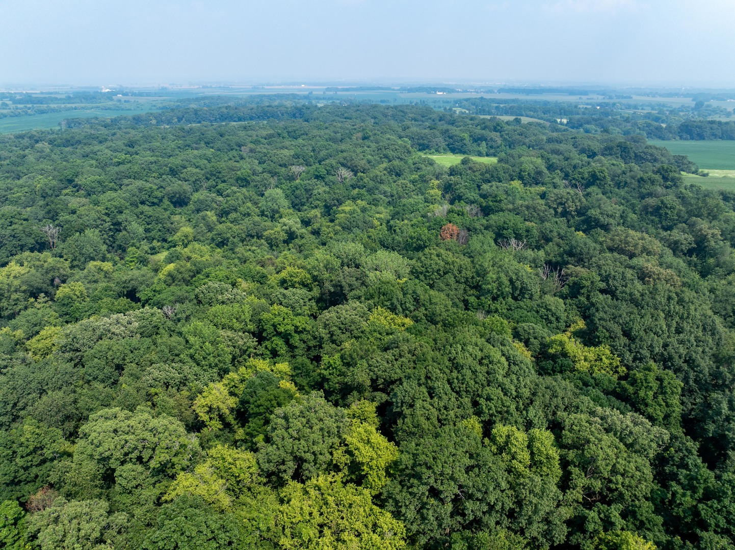 0 Hunter Road Harvard, IL 60033 - Photo 18 of 38 an aerial view of houses covered in trees