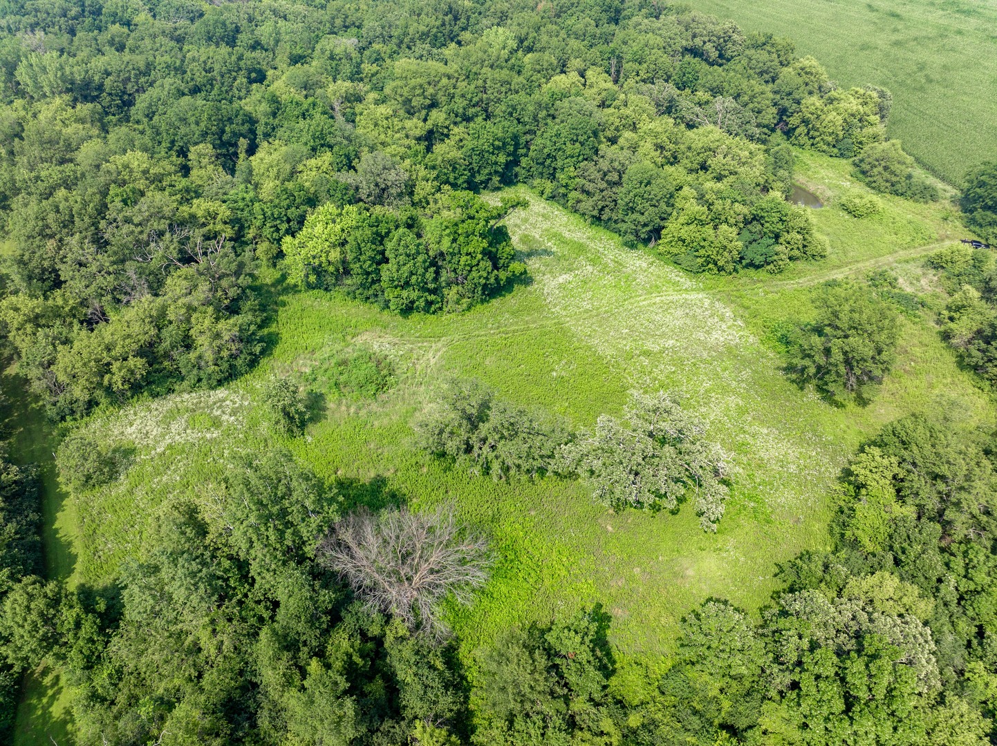 0 Hunter Road Harvard, IL 60033 - Photo 19 of 38 a view of a garden