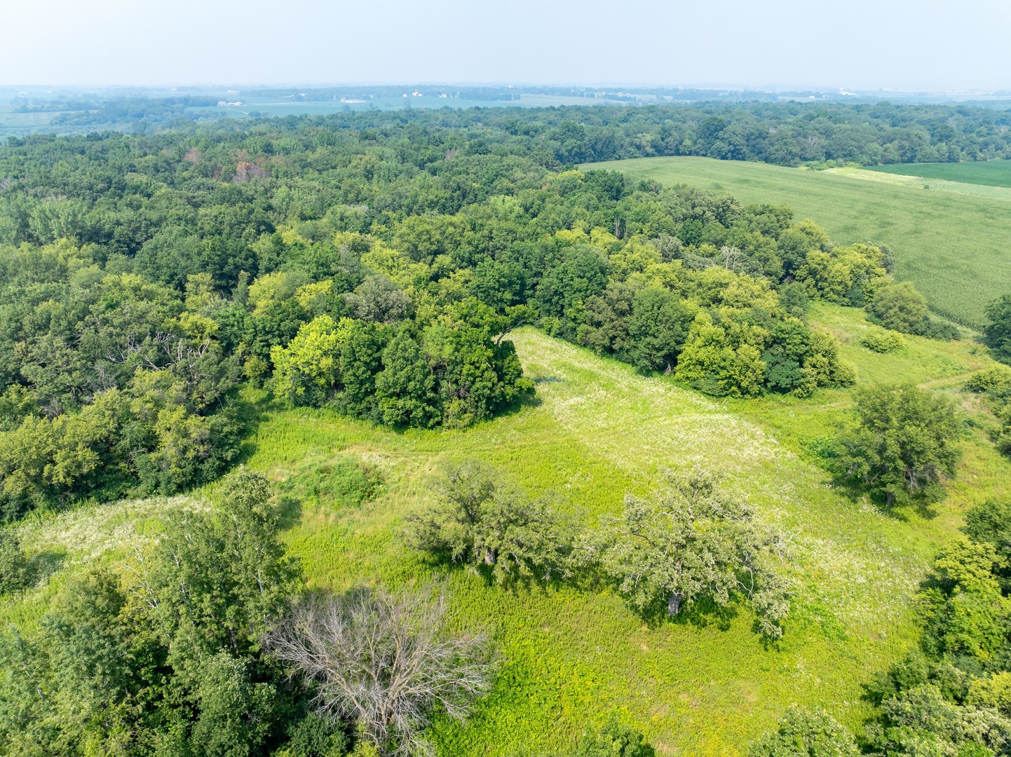 0 Hunter Road Harvard, IL 60033 - Photo 20 of 38 a view of an outdoor space with a lake view