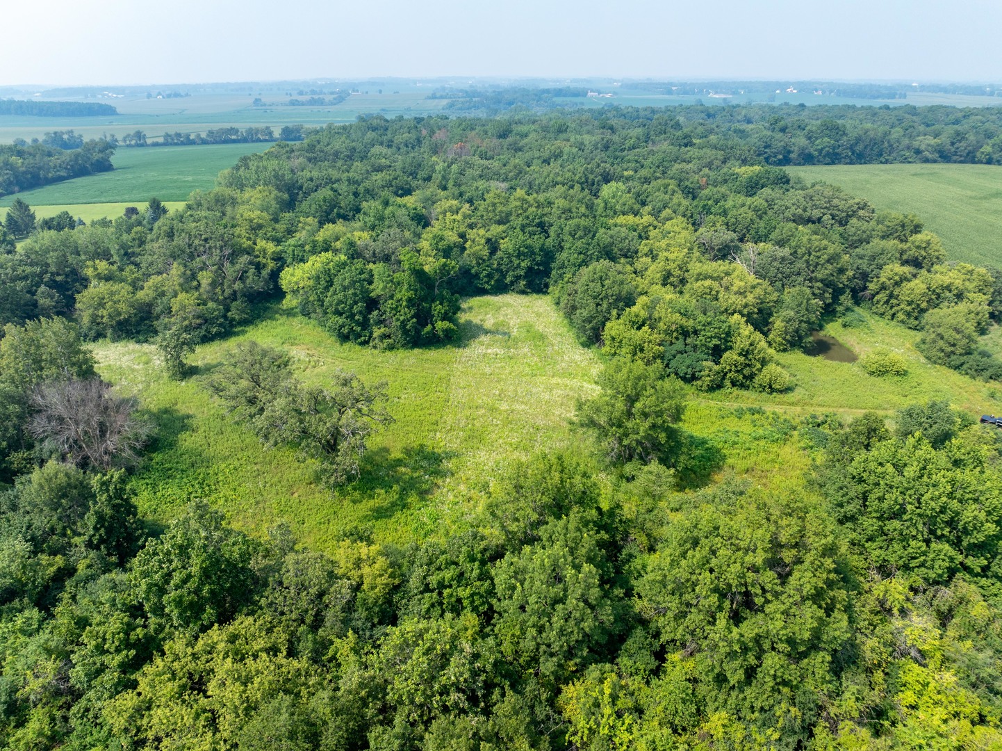 0 Hunter Road Harvard, IL 60033 - Photo 21 of 38 a view of a lush green forest with trees and some houses