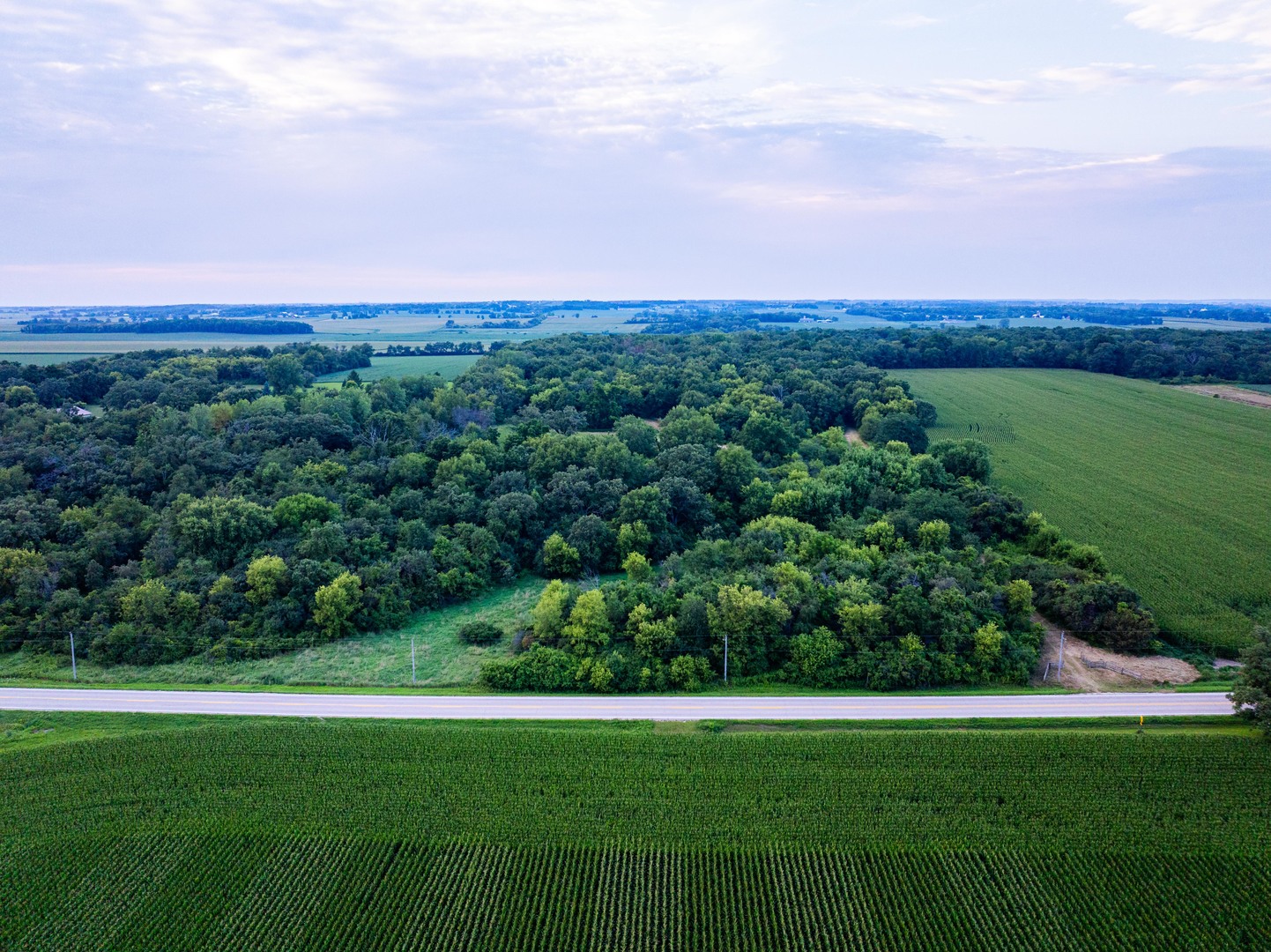 0 Hunter Road Harvard, IL 60033 - Photo 31 of 38 a view of a big yard with a large trees
