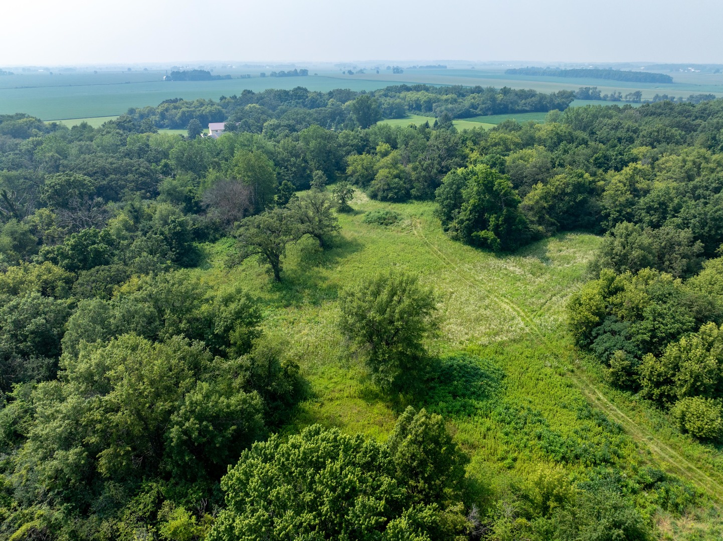 0 Hunter Road Harvard, IL 60033 - Photo 5 of 38 a view of a lush green forest with trees and some houses