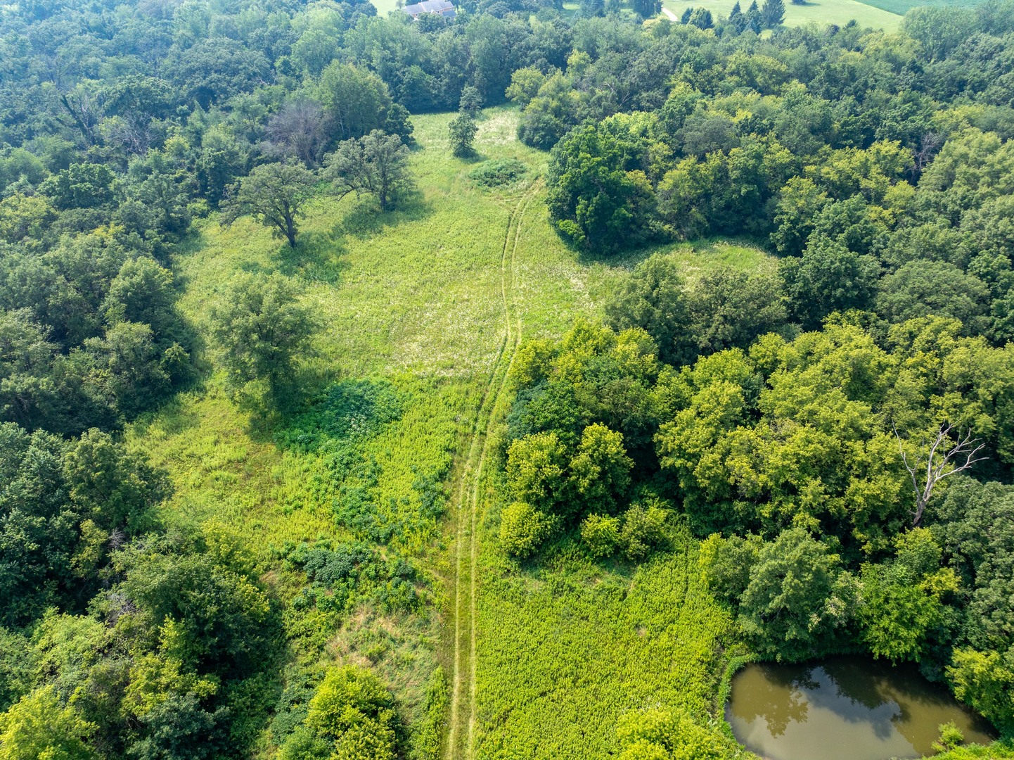 0 Hunter Road Harvard, IL 60033 - Photo 7 of 38 a backyard of a house with a yard and green space