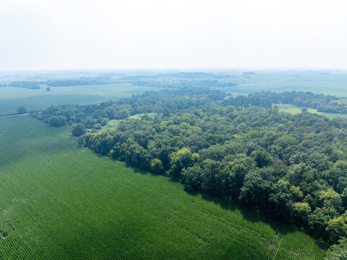 0 Hunter Road Harvard, IL 60033 - Photo 8 of 38 a view of a green field with lots of bushes