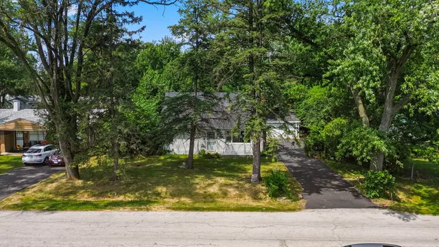 a view of a yard with plants