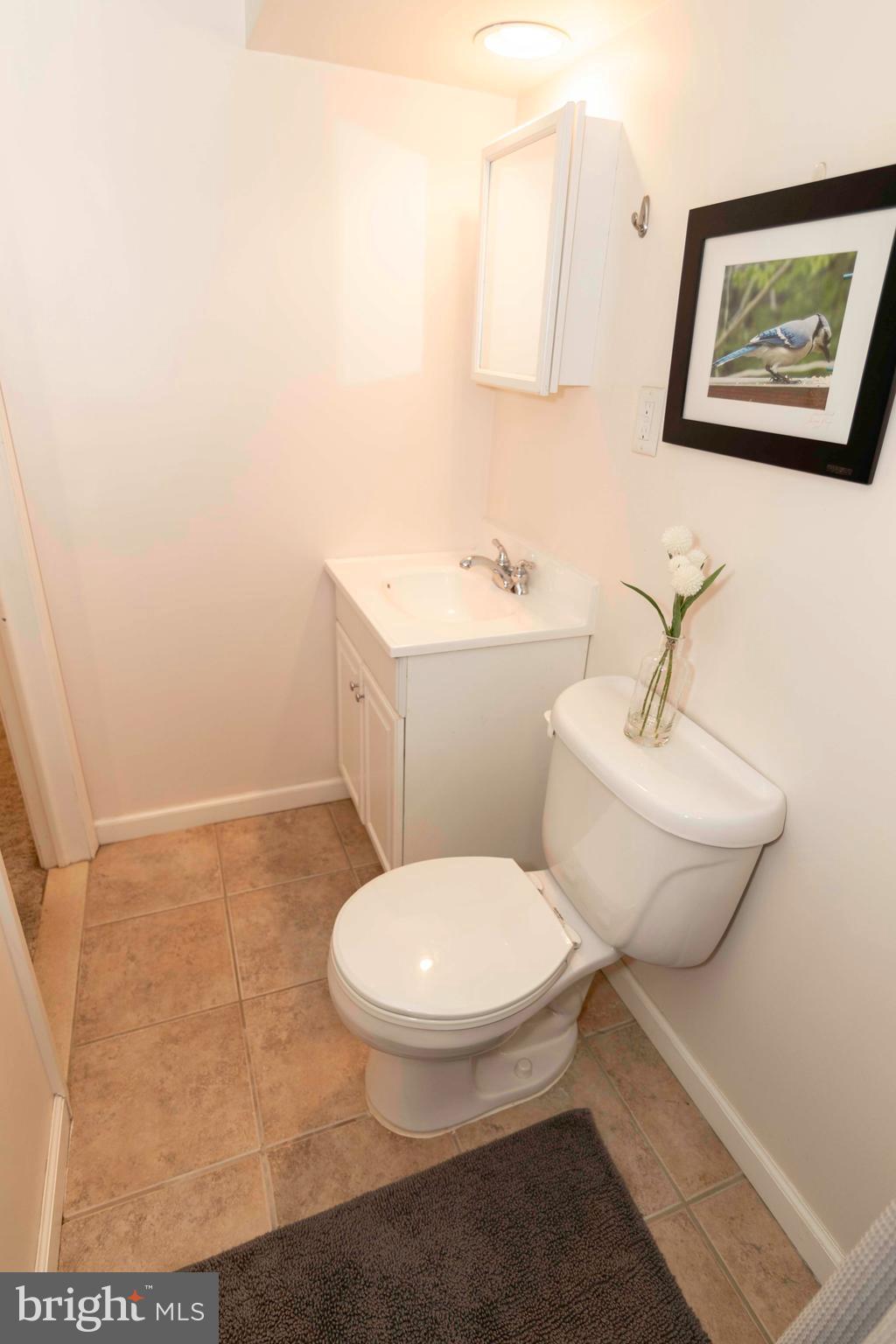 222 Farnham Road Havertown, PA 19083 - Photo 22 of 26 Lower Level Bathroom