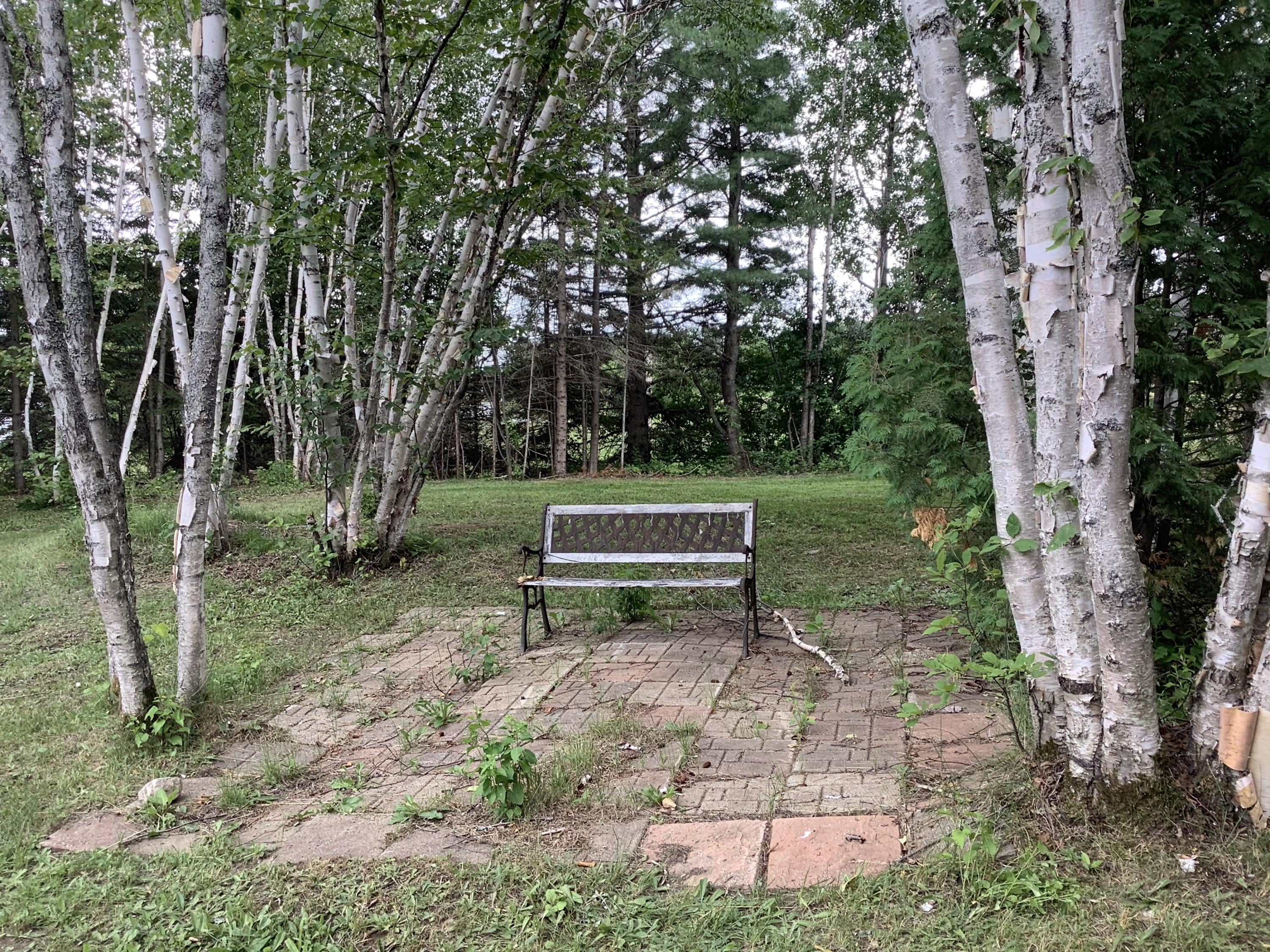1780 Hamlin Road Van Buren, ME 04785 - Photo 9 of 61 9E9F135B-E676-4746-8813-5D622511A397