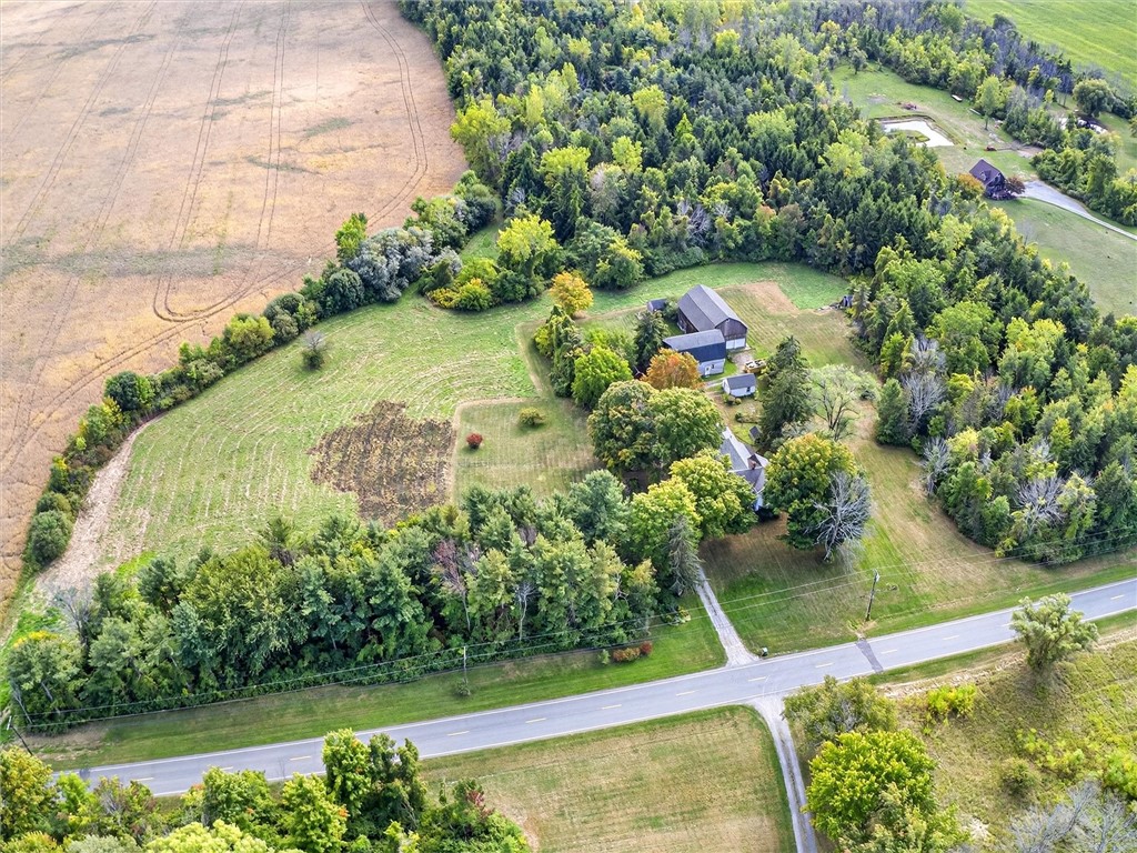 457 Moscow Road Hamlin, NY 14464 - Photo 45 of 47