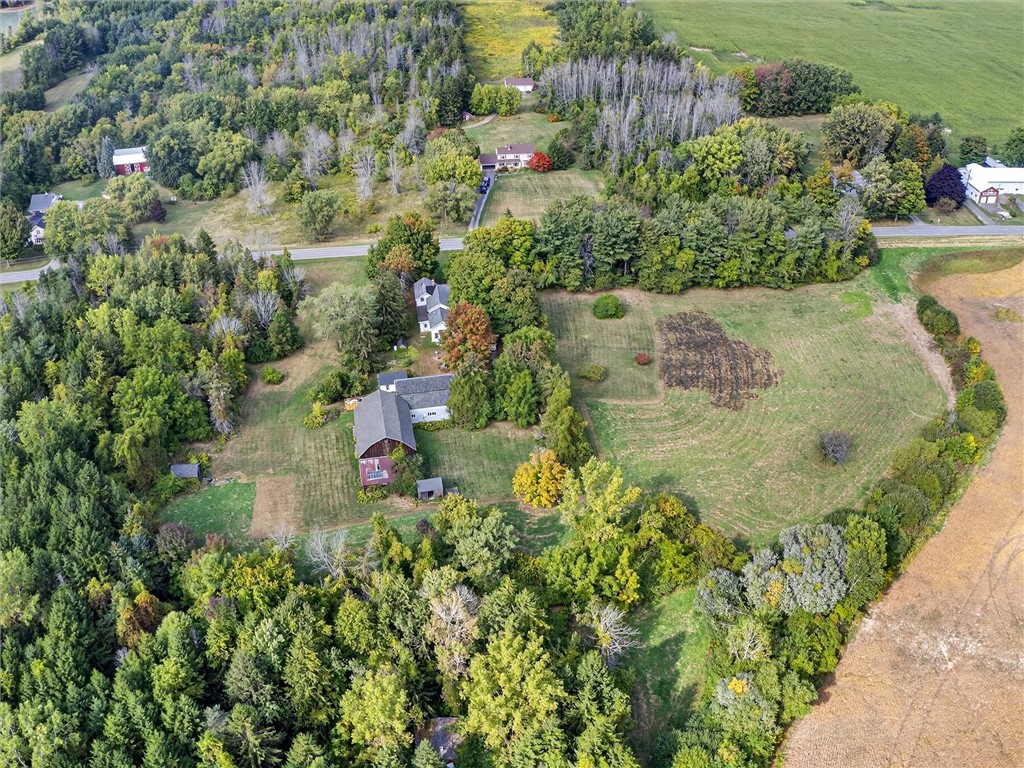 457 Moscow Road Hamlin, NY 14464 - Photo 46 of 47