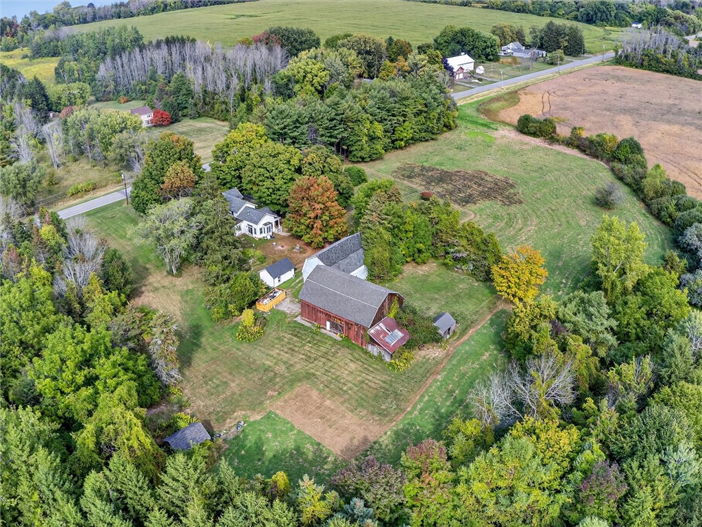 457 Moscow Road Hamlin, NY 14464 - Photo 47 of 47