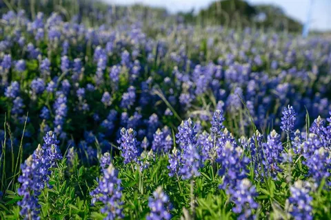 a view of a swimming pool with a back yard