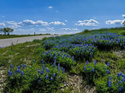 a view of a lake with a yard
