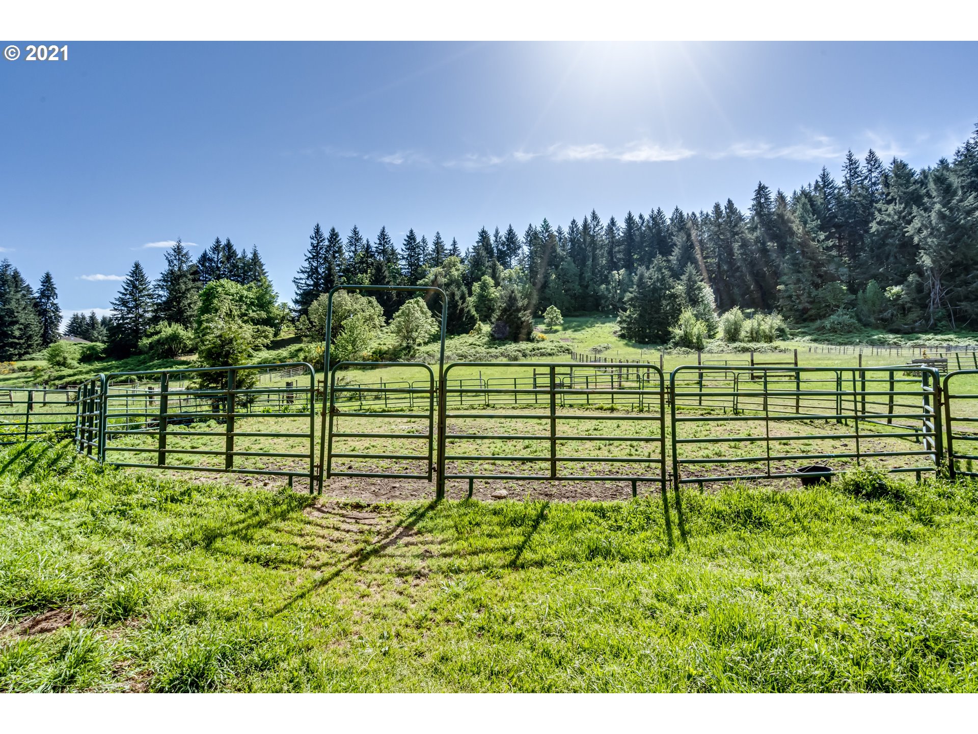 79385 Sears Road Cottage Grove, OR 97424 - Photo 23 of 32 a view of a garden