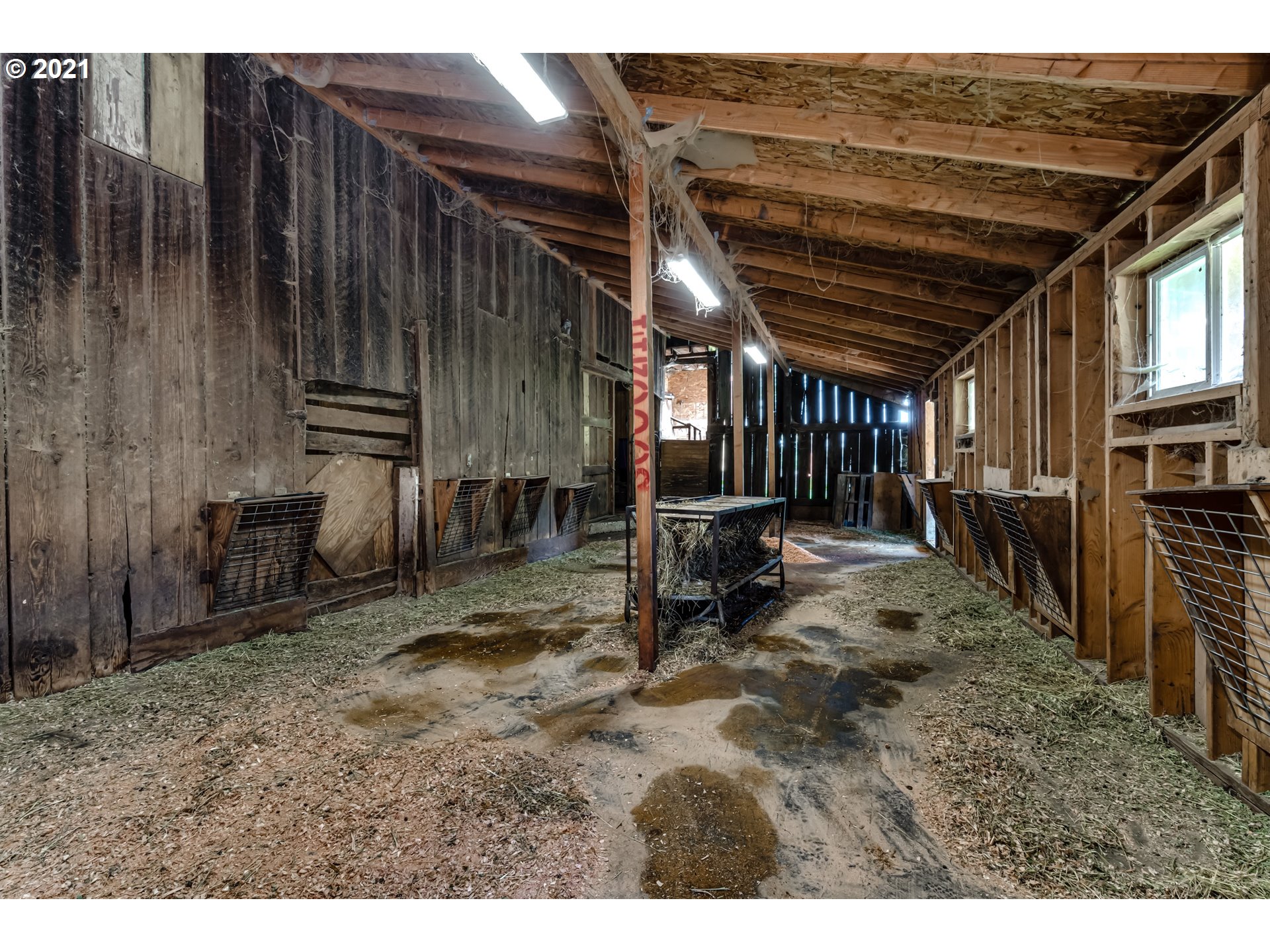 79385 Sears Road Cottage Grove, OR 97424 - Photo 29 of 32 a view of an outdoor space