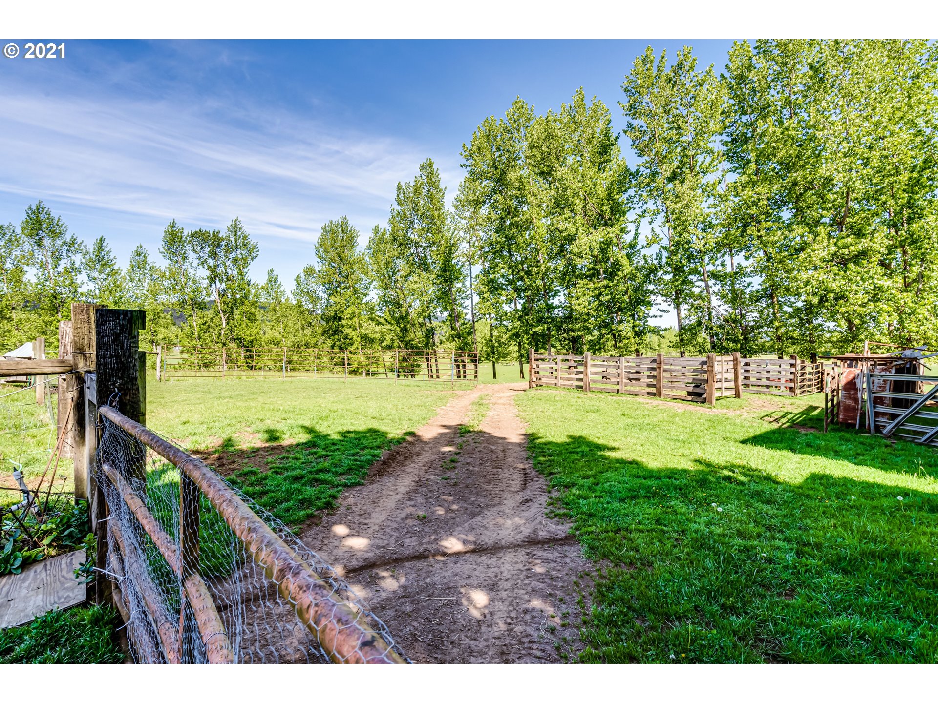79385 Sears Road Cottage Grove, OR 97424 - Photo 30 of 32 a view of yard with green space