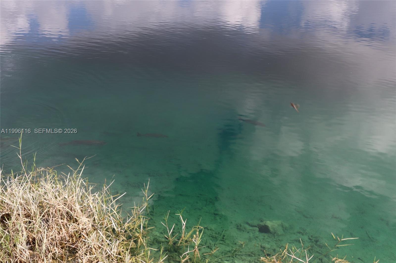 18901 Southwest 63rd Street Southwest Ranches, FL 33332 - Photo 7 of 38