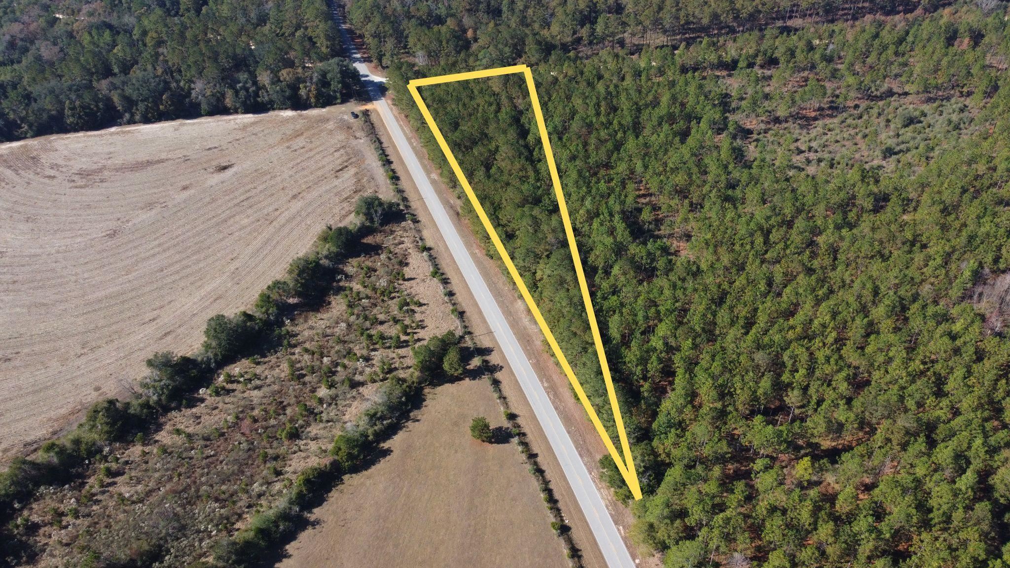 1 Open Pond Road Florala, AL 36442 - Photo 2 of 10 Gallery Image 2