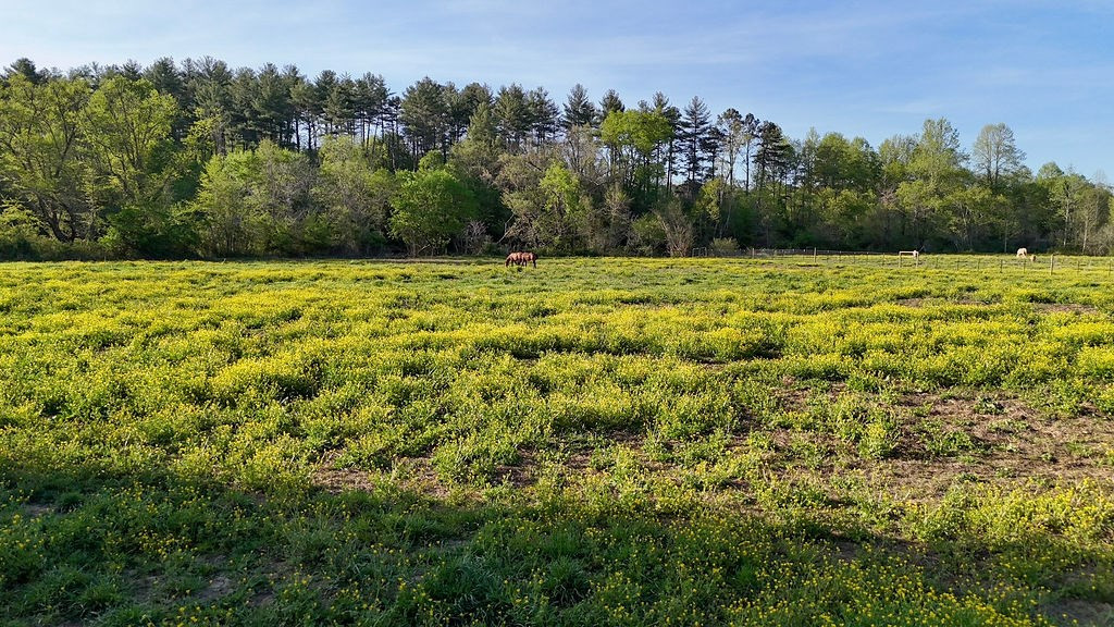 3872 Nc Highway Murphy, NC 28906 - Photo 18 of 19