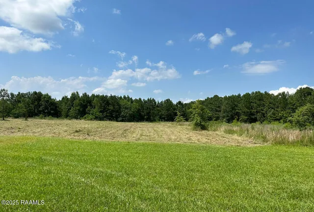 $55,000 | 203 Bourbon Road, Basile, LA 70515