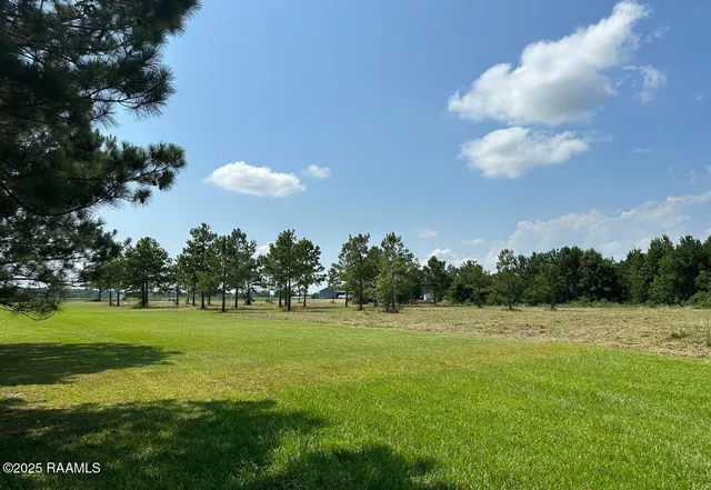 $55,000 | 203 Bourbon Road, Basile, LA 70515