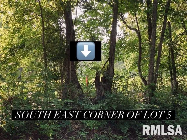 $40,000 | Lot 2 Falcon Road, Carbondale, IL 62902