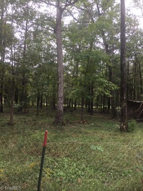 412 Stokes Road Denton, NC 27239 - Photo 2 of 11 Gallery Image 2